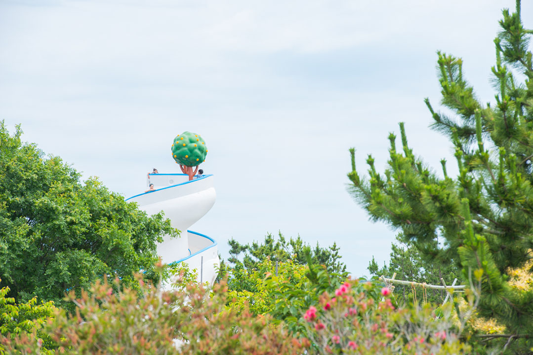 吉田公園の様子