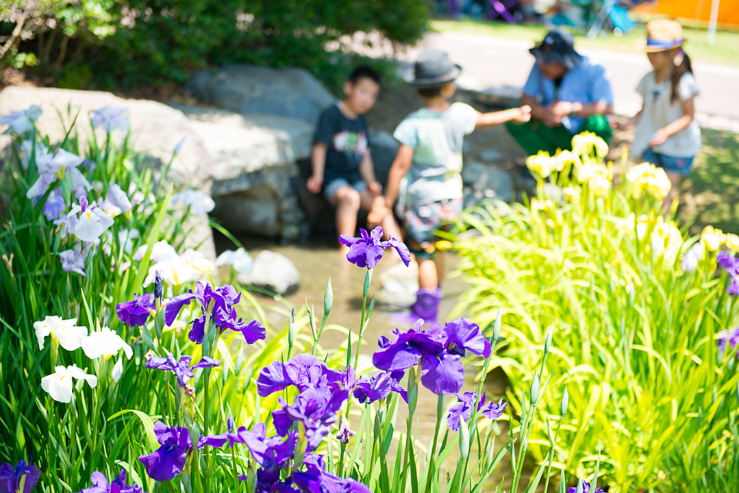 吉田公園の様子